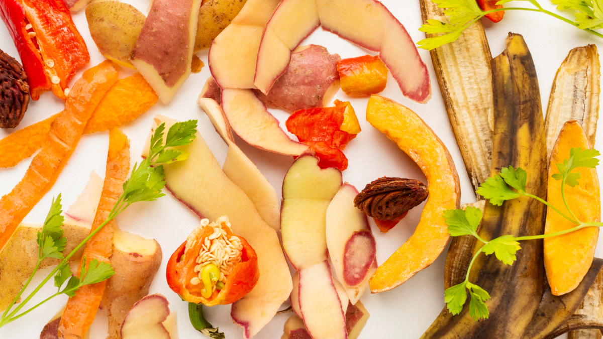 Jornal de Notícias Logo