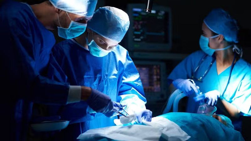 Cientistas convertem tipo sanguíneo de rim e fazem transplante pela 1ª vez