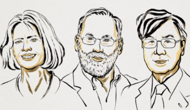 Nobel da Medicina para Brunkow, Ramsdell e Sakaguchi