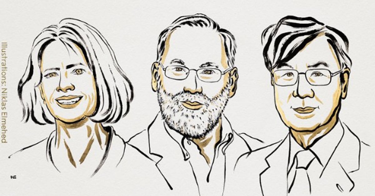 Nobel da Medicina para Brunkow, Ramsdell e Sakaguchi