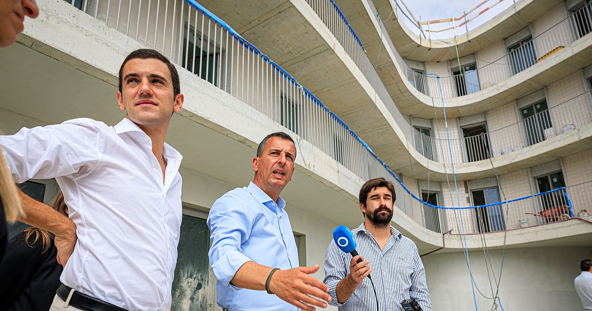 Sebastião Bugalho é a estrela relutante da campanha autárquica do PSD - Diário de Notícias