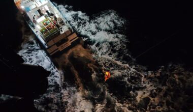 Ataque de Orcas Afunda Veleiro em Peniche