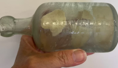 Mensagens de Soldados da I Guerra Mundial Chegam às Famílias