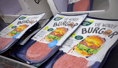 "Uma salsicha é uma salsicha". UE quer proibir palavras associadas a carne em produtos vegetarianos