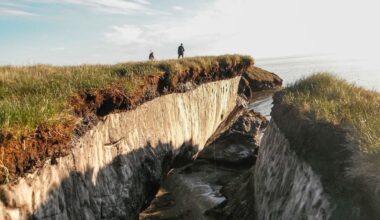 Micróbios presos no permafrost há 40 mil anos acordaram. Estão vivos (e cheiram muito mal)