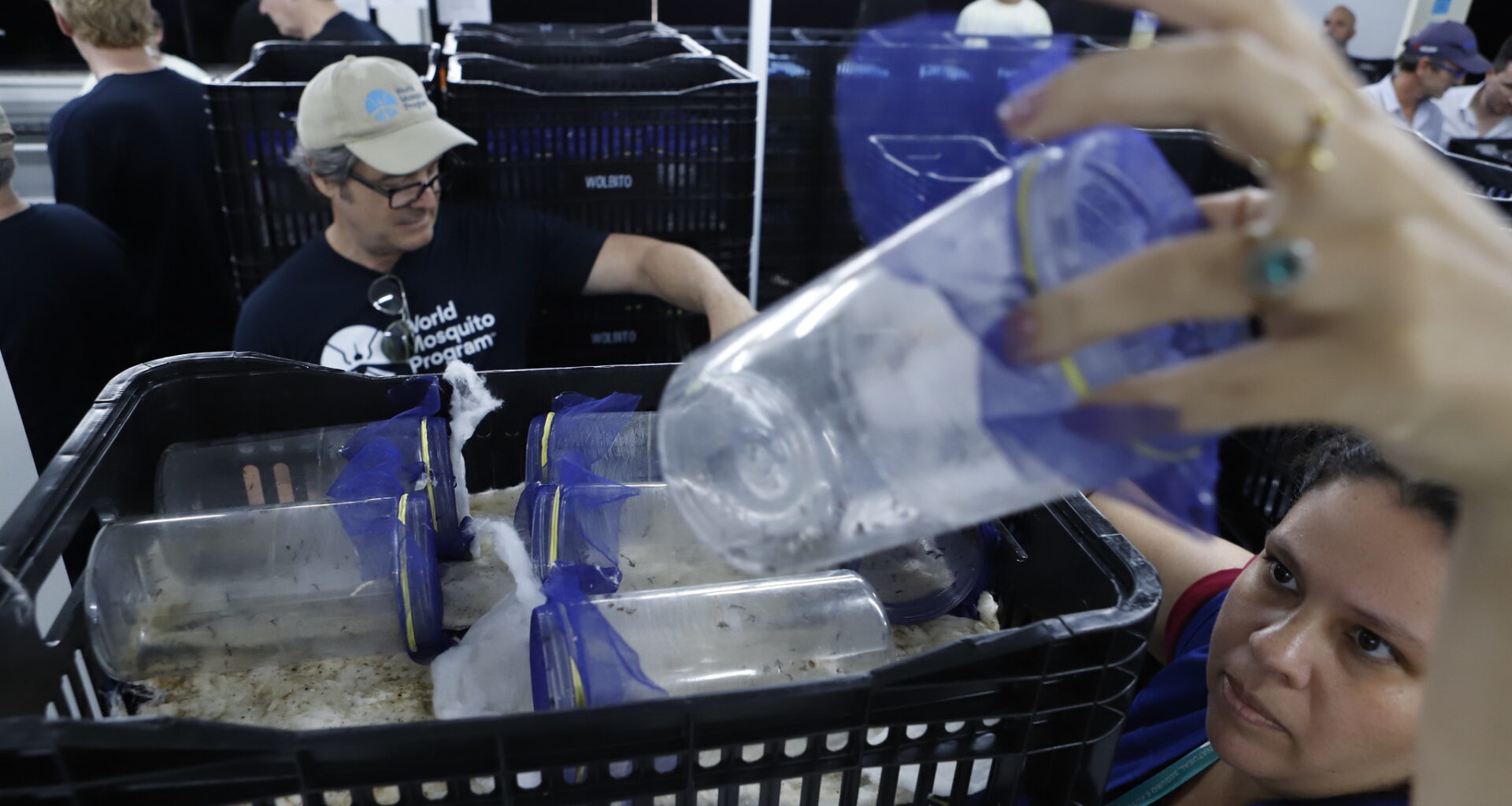 Delegação internacional visita biofábrica de wolbitos no Distrito Federal