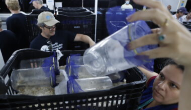 Delegação internacional visita biofábrica de wolbitos no Distrito Federal