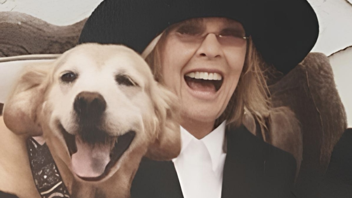 Jornal de Notícias Logo