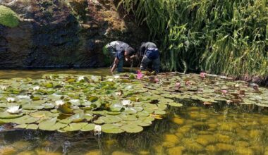 Jornal de Notícias Logo