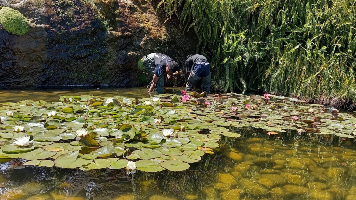 Jornal de Notícias Logo