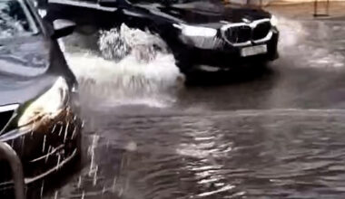 Jornal de Notícias Logo