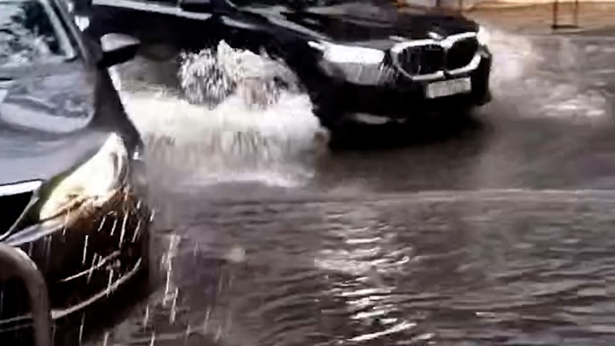 Jornal de Notícias Logo