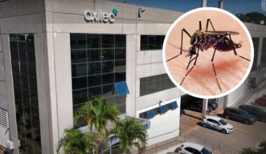 Fábrica de mosquitos é inaugurada e vai produzir milhões de insetos