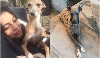 'Meu coração dói por você'