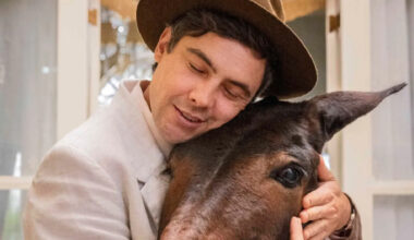 O que acontece com Policarpo em Êta Mundo Melhor? Burro corre risco de morte