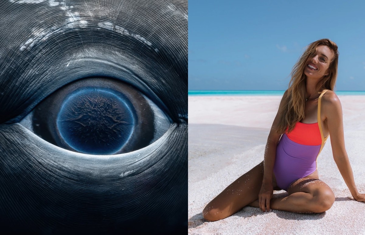 Fotógrafa tira foto impressionante de 'galáxia' em olho de baleia, que morreu de forma trágica