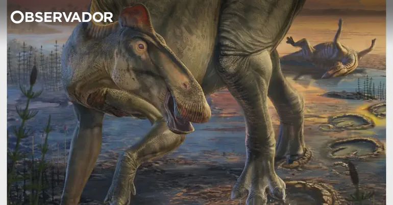Dinossauro de há 66 milhões de anos tinha casco de cavalo – Observador