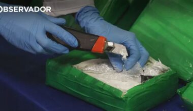 PJ detém suspeito de tráfico de droga associada a overdoses – Observador