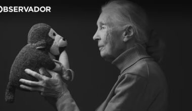Jane Goodall enviaria Musk, Trump e Putin para o espaço – Observador