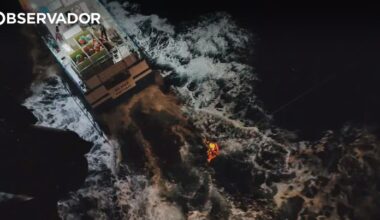 Ataque de orcas em Peniche leva ao resgate de cinco pessoas – Observador