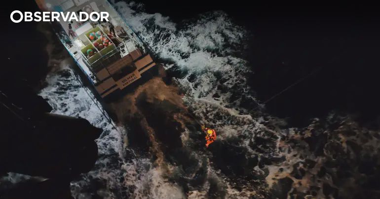 Ataque de orcas em Peniche leva ao resgate de cinco pessoas – Observador