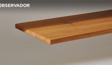 Esta supermadeira é mais rija que o aço e muito mais leve – Observador