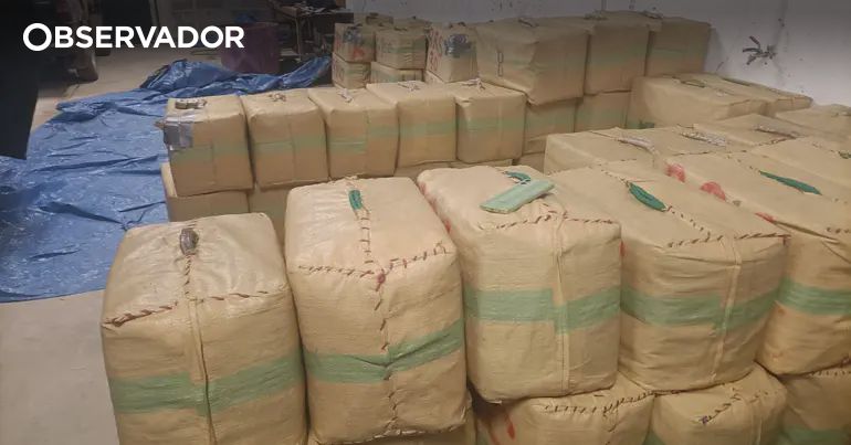 7 detidos e toneladas de haxixe – Observador