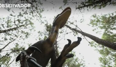 Estudo revela grande diversidade de dinossauros pré-extinção – Observador