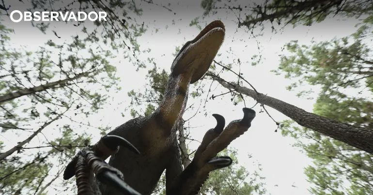 Estudo revela grande diversidade de dinossauros pré-extinção – Observador