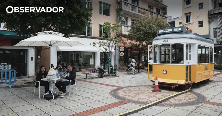 Macau alerta para subida nos casos de febre chikungunya – Observador