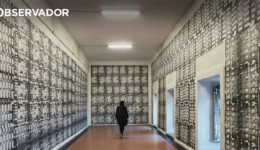 Obra sobre Conímbriga vence Prémio Joaquim de Carvalho – Observador