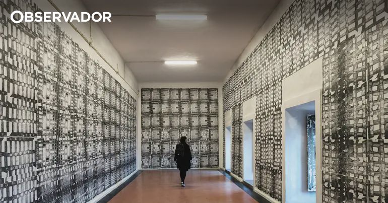 Obra sobre Conímbriga vence Prémio Joaquim de Carvalho – Observador