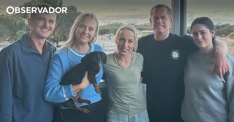Valerie, a cadela que sobreviveu 500 dias na selva – Observador