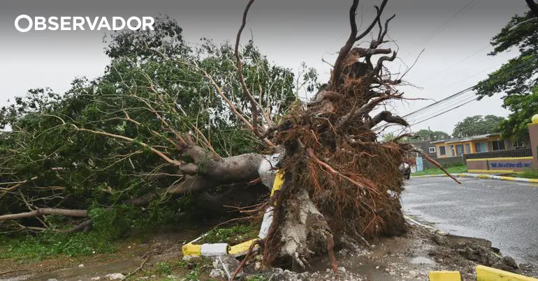 As imagens dos efeitos do furacão Melissa nas Caraíbas – Observador