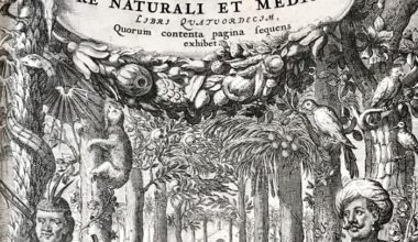 Apanhadão: museu brasileiro recebe de volta livro furtado há 15 anos