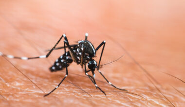 Estado de São Paulo registra mais de 844 mil casos de Dengue em 2025, aponta Alerta da Sala de Situação Estadual