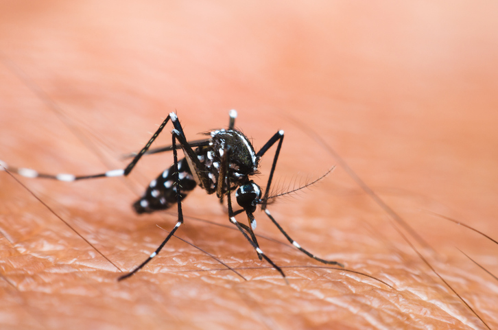 Estado de São Paulo registra mais de 844 mil casos de Dengue em 2025, aponta Alerta da Sala de Situação Estadual