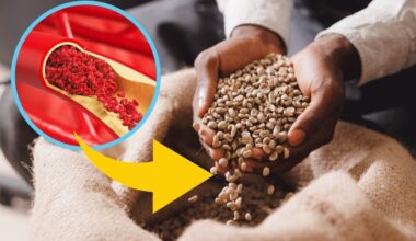 Que feijão é esse? O tipo de feijão que suga açúcar no sangue, reduz colesterol e é muito nutritivo! Saiba benefícios e como consumir