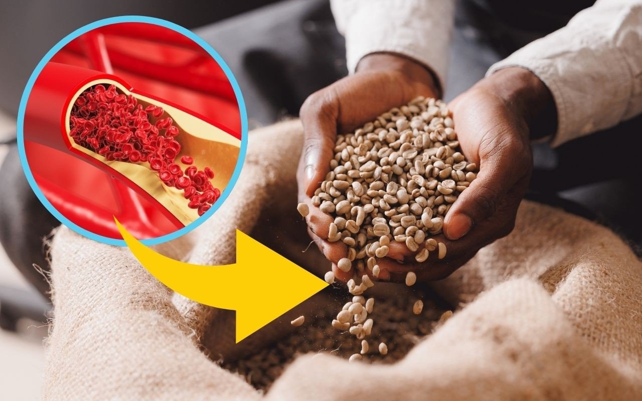 Que feijão é esse? O tipo de feijão que suga açúcar no sangue, reduz colesterol e é muito nutritivo! Saiba benefícios e como consumir