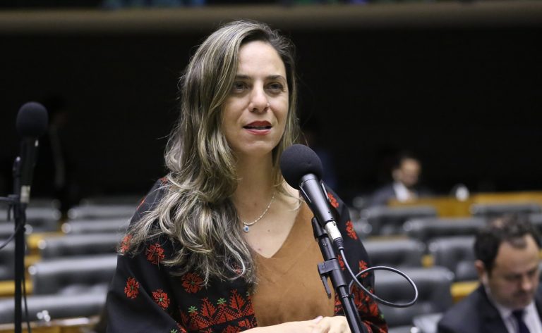 Discussão e votação de propostas legislativas. Dep. Fernanda Melchionna (PSOL - RS)