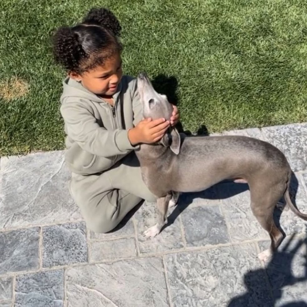 Filha mais velha de Kylie Jenner, Stormi Webste, ao lado do cachorro da influenciadora digital — Foto: Reprodução / Instagram
