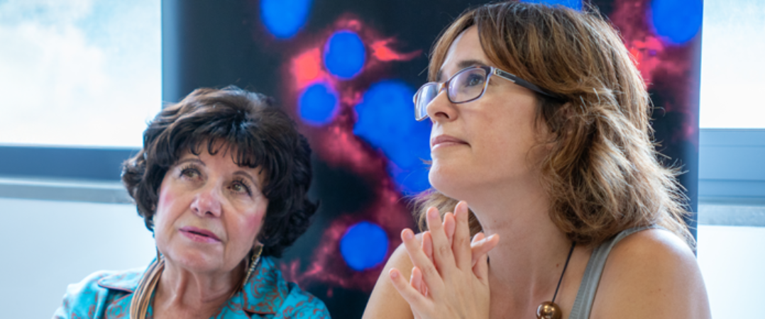 R-nuucell foi selecionada por programa europeu e vai validar terapia contra o cancro