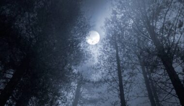 A lua cheia sempre mexe com as energias ao nosso redor, mas desta vez, ela traz um impacto mais profundo em quatro signos do zodíaco