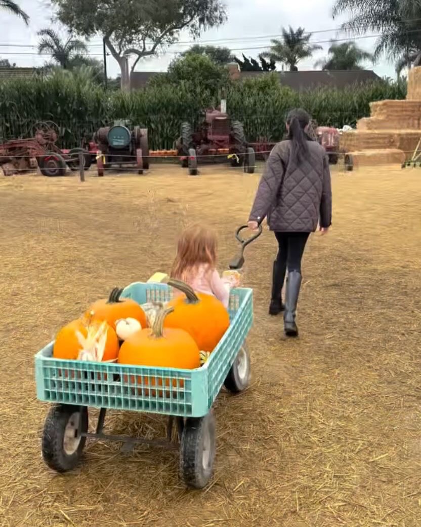 Meghan Markle e príncipe Harry compartilham momento com Archie e Lilibet - Foto: Reprodução / Instagram