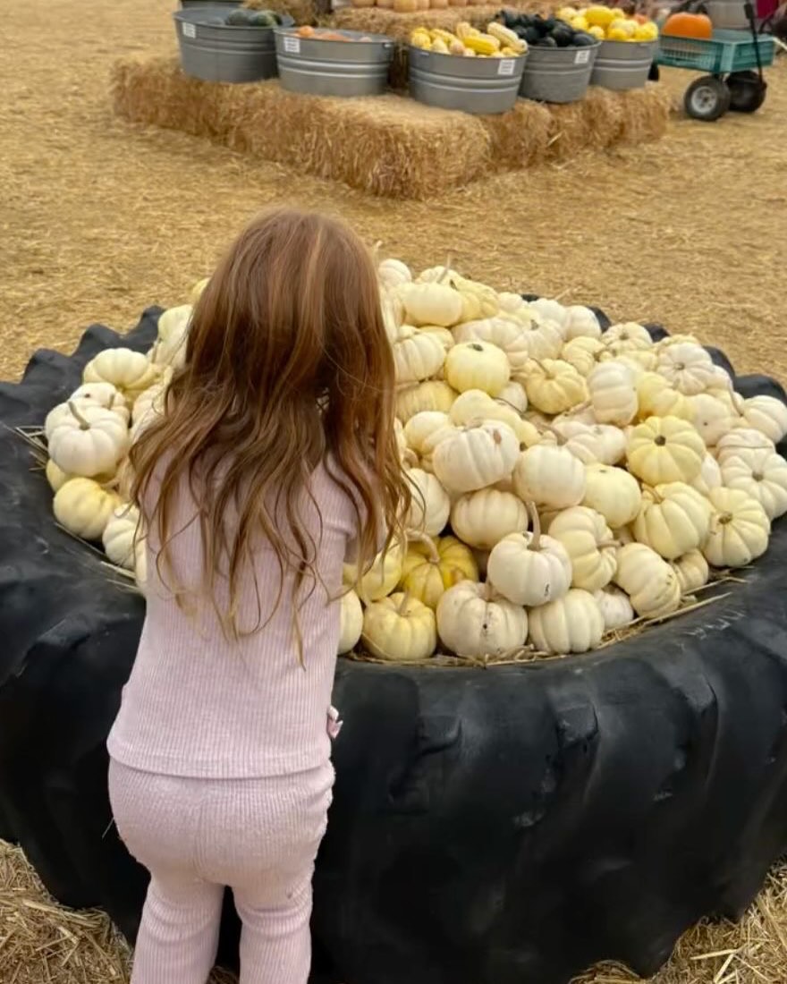 Meghan Markle e príncipe Harry compartilham momento com Archie e Lilibet - Foto: Reprodução / Instagram