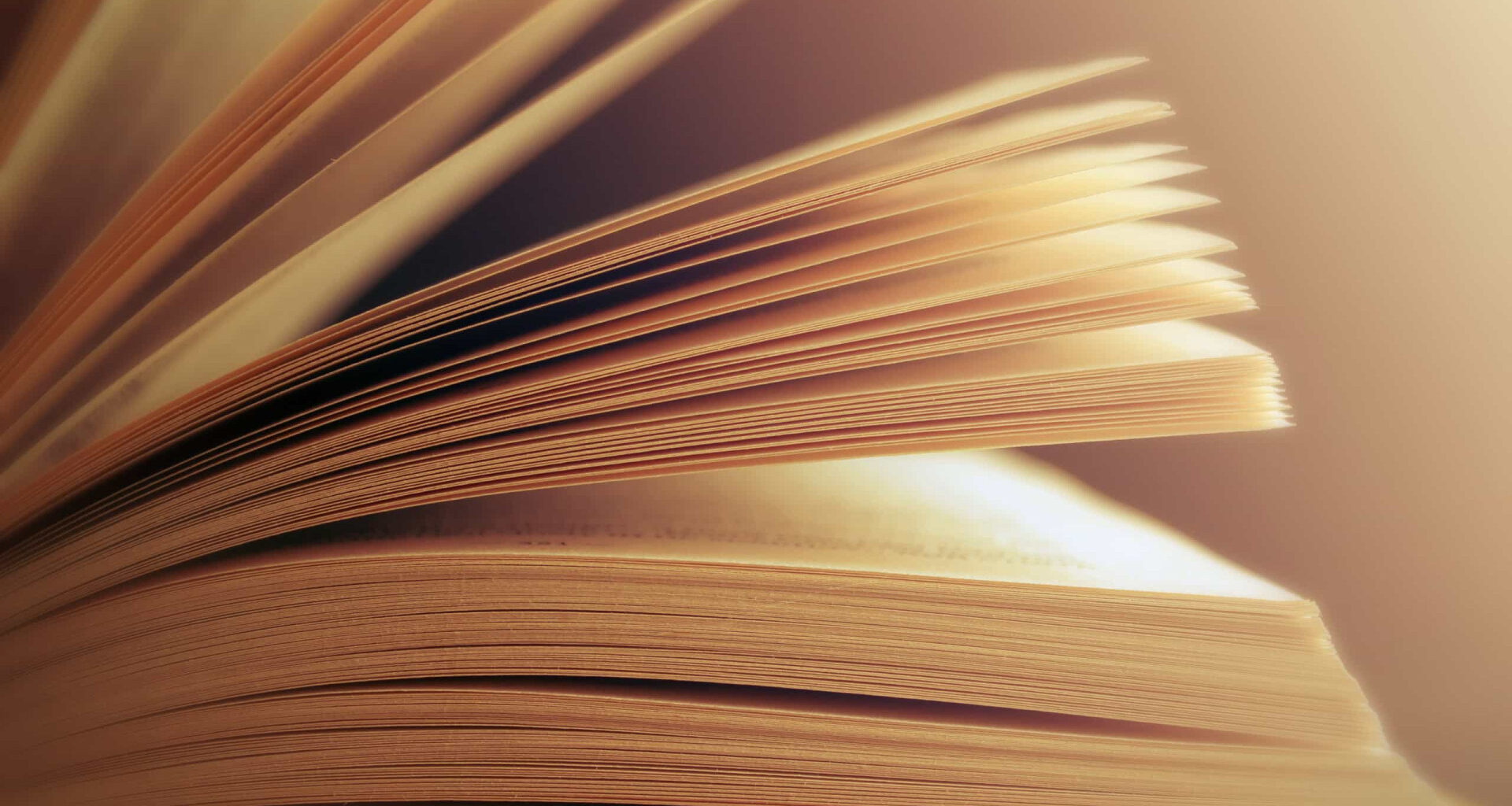 Livro português para crianças cegas na seleção White Ravens