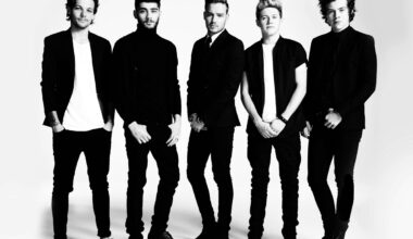 Existem pelo menos 50 músicas do One Direction nunca lançadas