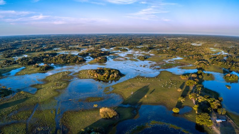 Pantanal (Mato Grosso e Mato Grosso do Sul): além da beleza natural, o Pantanal tem um dos céus mais limpos do país - Canva/ND