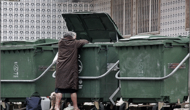 qual é o retrato em Portugal e como tem evoluído?