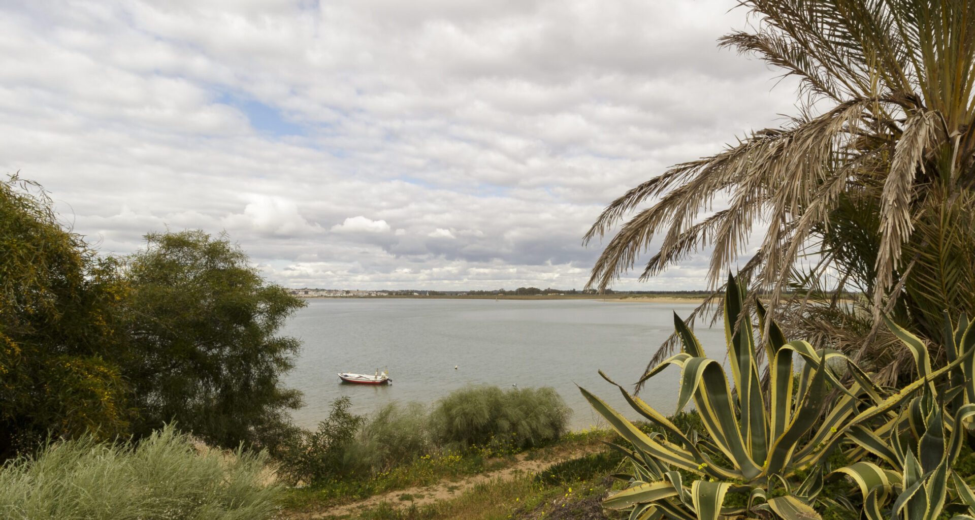 "Fico chocada": americana veio para esta cidade do Algarve viver a reforma e revela quanto custou a sua casa